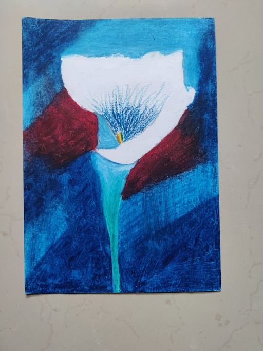 Calla Lily Painting by Havish Reddy